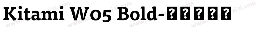 Kitami W05 Bold字体转换
